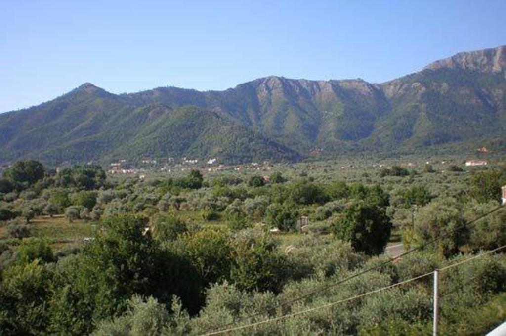 Nestor Apartments Chrysi Ammoudia Ruang foto